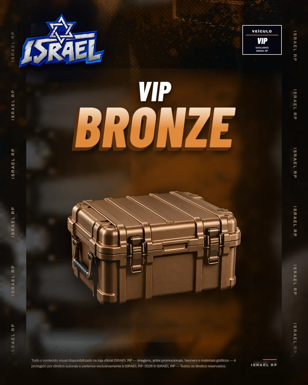 🥉 VIP BRONZE